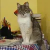 Отзыв от Валерия Шарова